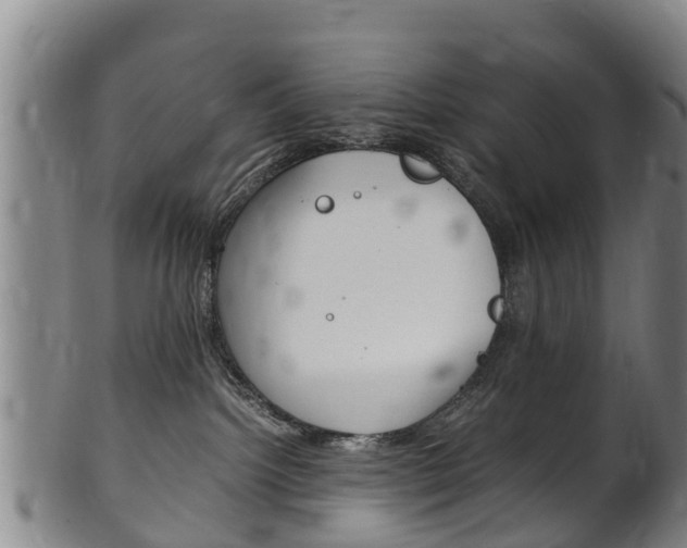 X0000102520092200808081040