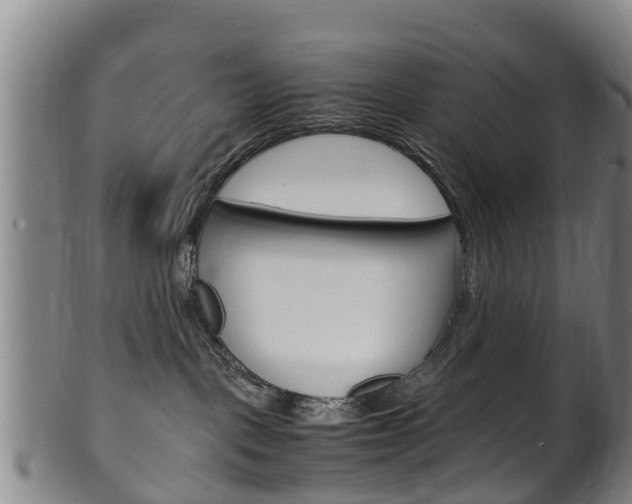 X0000102520093200808081040