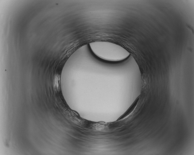 X0000102520094200808081040