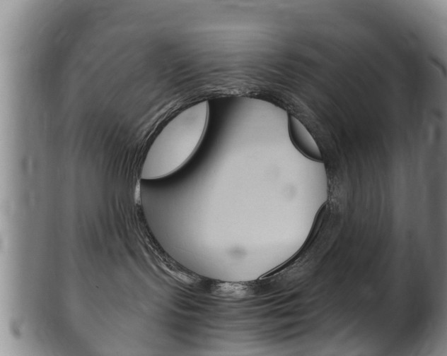 X0000102520095200808081040