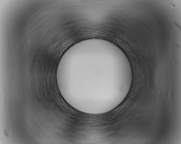 X0000102520096200808081040