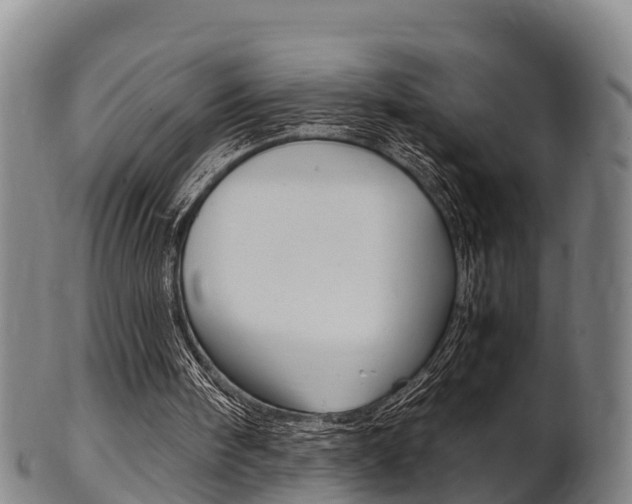 X0000102520098200808081039