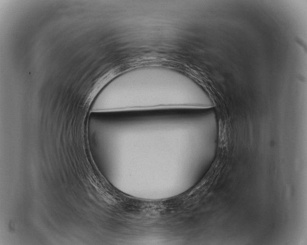 X0000102520099200808081039