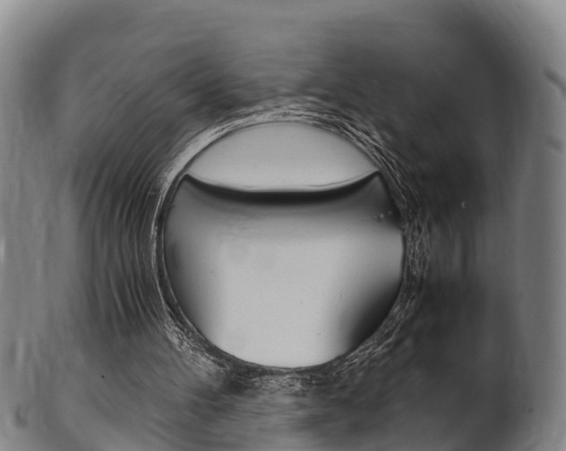 X0000102520100200808081039