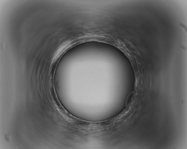 X0000102520101200808081039