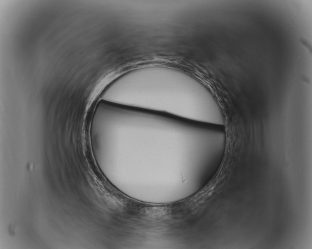 X0000102520102200808081039