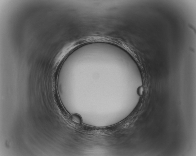 X0000102520103200808081039