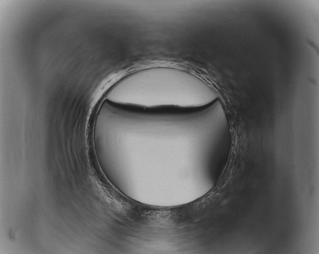 X0000102520104200808081039