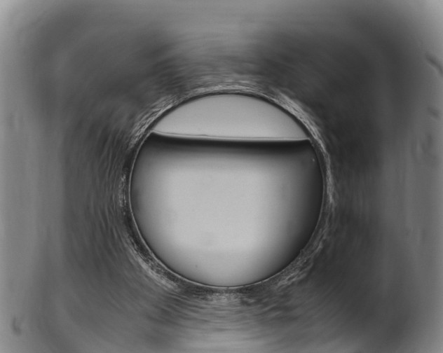 X0000102520105200808081039