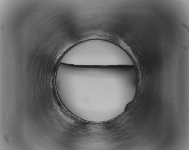 X0000102520106200808081039