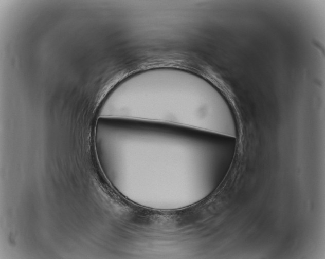 X0000102520107200808081039