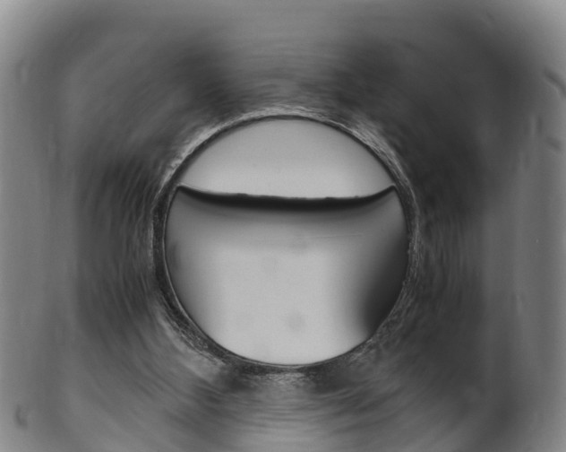 X0000102520108200808081039