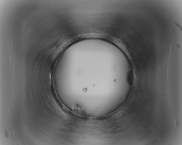 X0000102520109200808081039