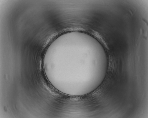 X0000102520110200808081039