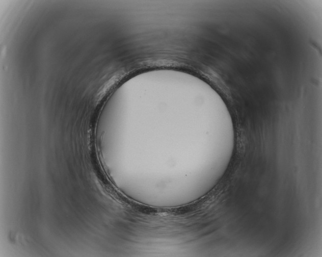 X0000102520111200808081039