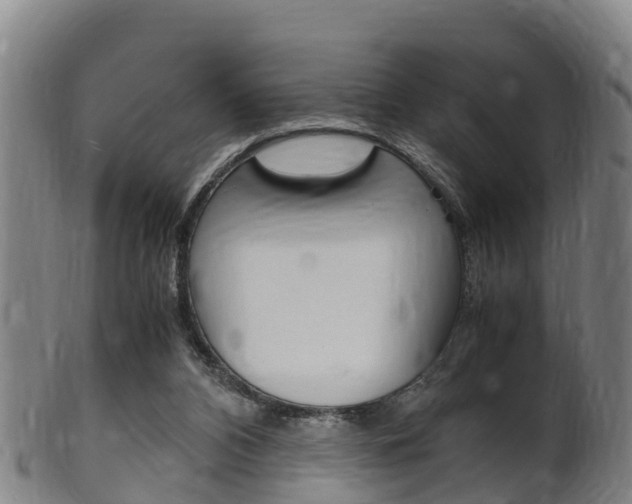 X0000102520112200808081039