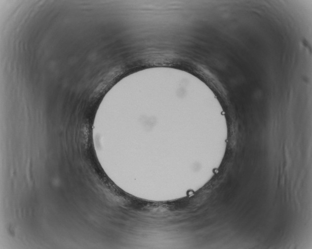 X0000102520113200808081039