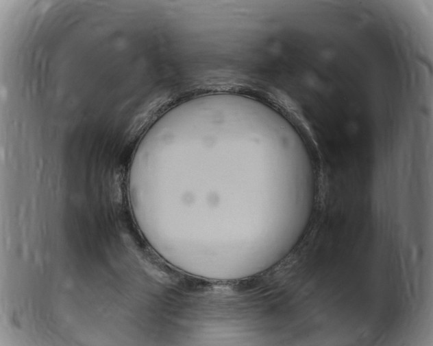 X0000102520114200808081039