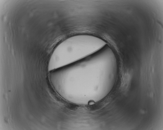 X0000102520115200808081039