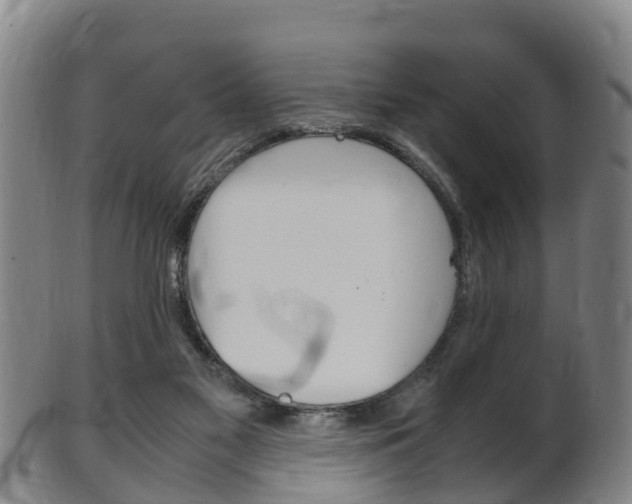 X0000102520117200808081039