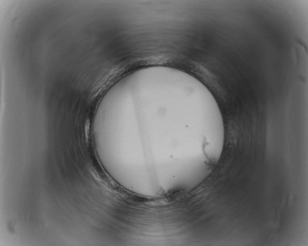 X0000102520118200808081039