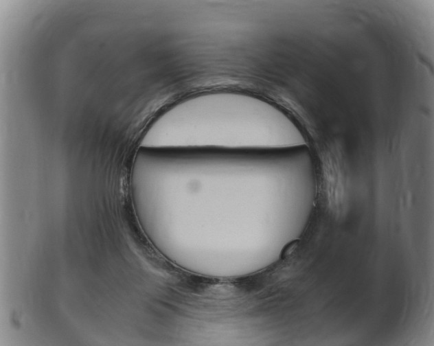 X0000102520119200808081038