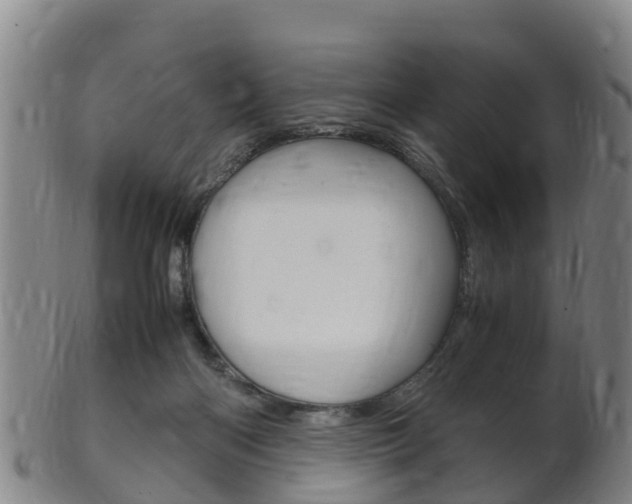 X0000102520122200808081038