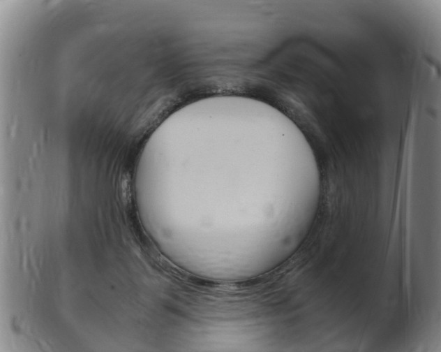 X0000102520123200808081038