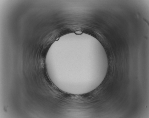 X0000102520125200808081038