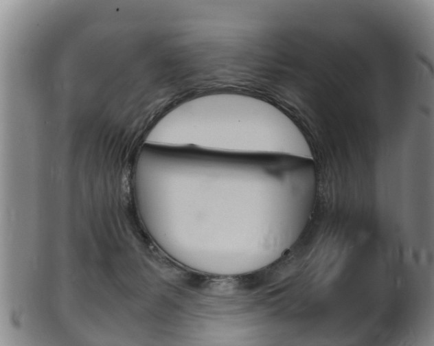 X0000102520127200808081038