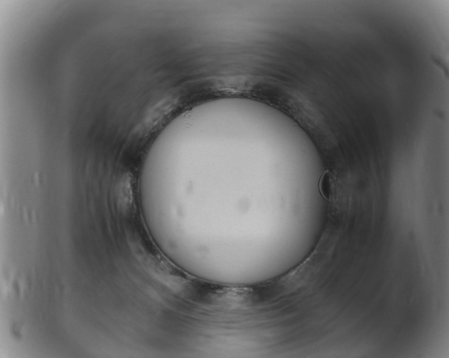 X0000102520128200808081038