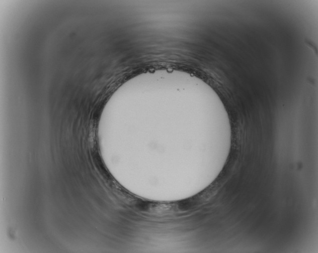 X0000102520129200808081038