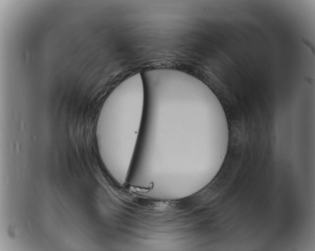 X0000102520130200808081038