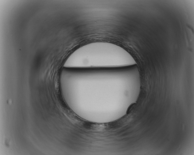 X0000102520131200808081038