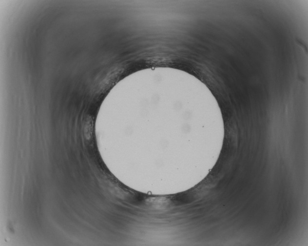 X0000102520133200808081038