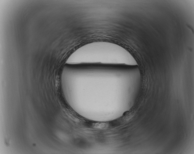 X0000102520135200808081038