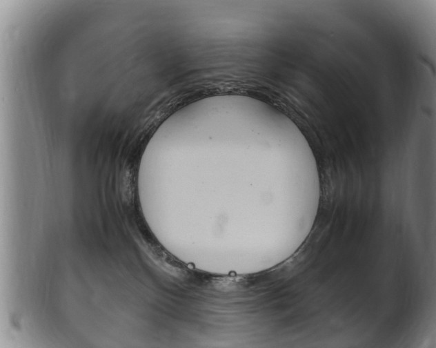 X0000102520136200808081038