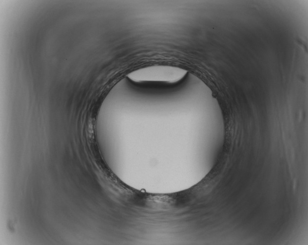 X0000102520137200808081038