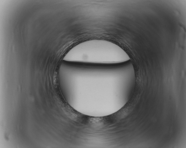 X0000102520139200808081038