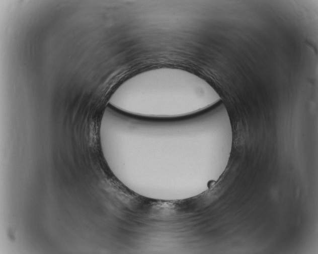 X0000102520140200808081038