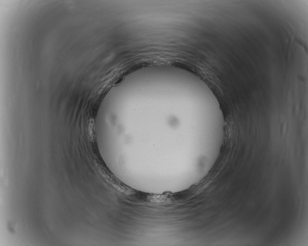 X0000102520141200808081038