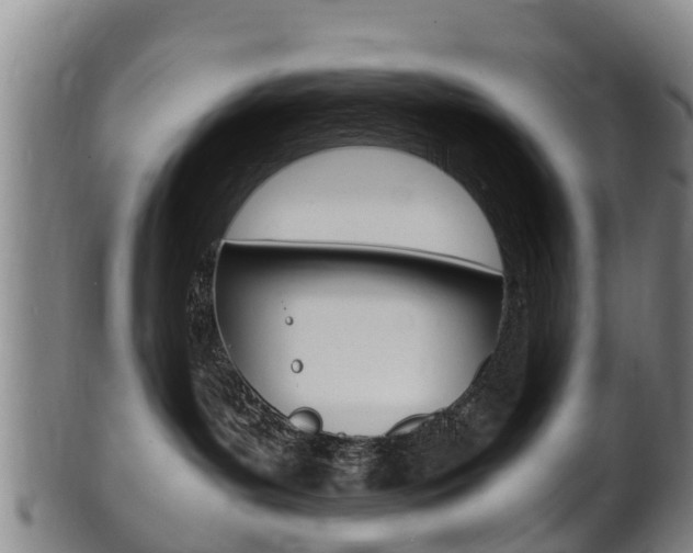 X0000102520143200808081038