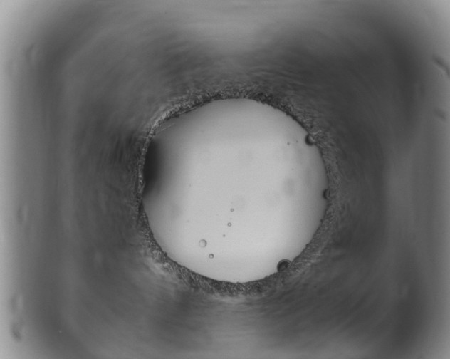 X0000102520144200808081038