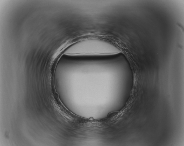 X0000102520150200808081037