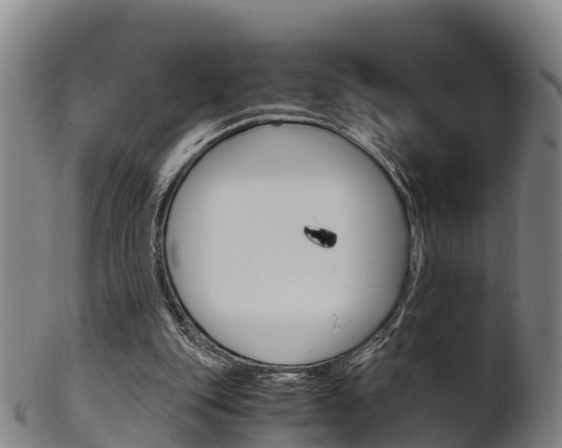 X0000102520151200808081037