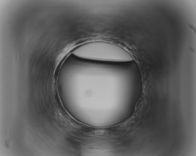 X0000102520152200808081038