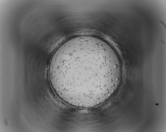 X0000102520153200808081038