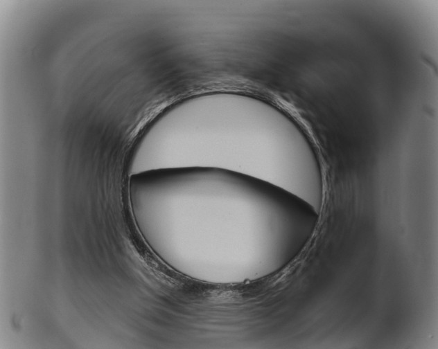 X0000102520154200808081038