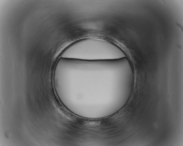 X0000102520155200808081038