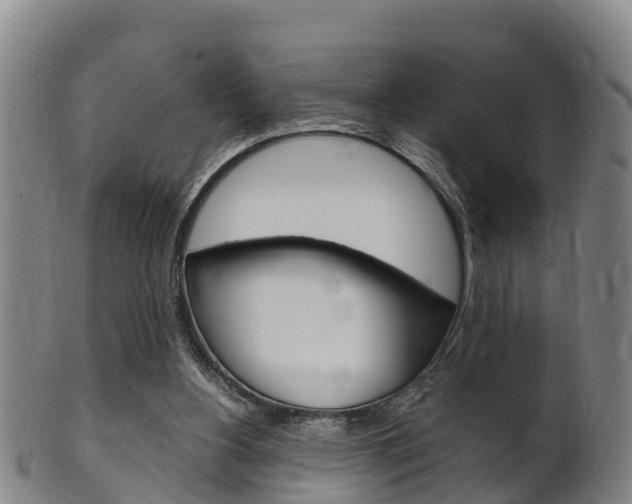 X0000102520156200808081038